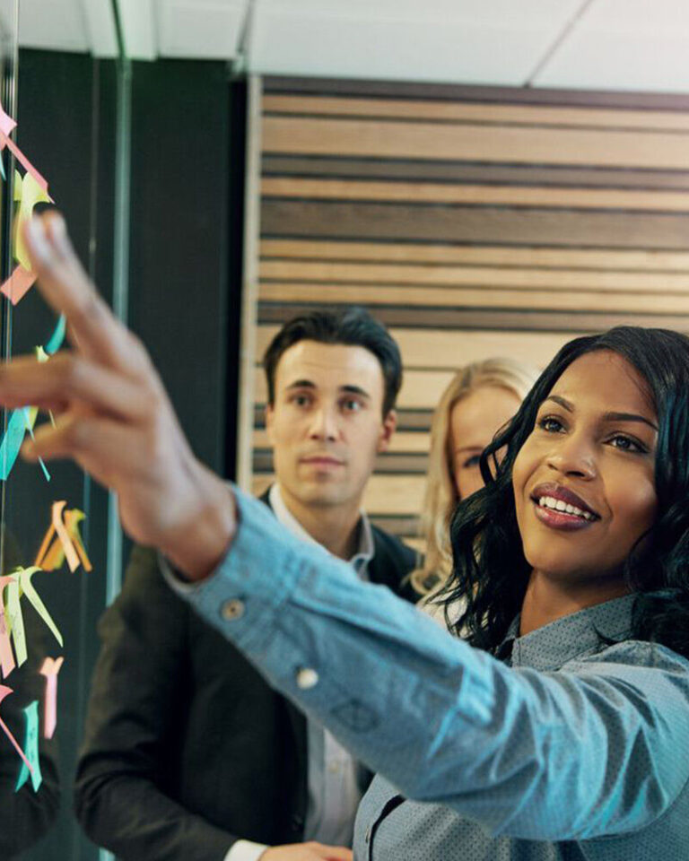 Imagen de la galería 6