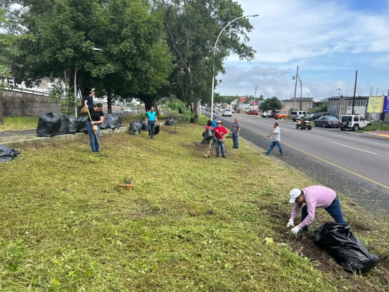 WhatsApp-Image-2024-08-12-at-8.29.09-PM