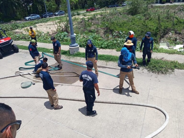 Imagen de WhatsApp 2025-06-30 a las 13.16.25_5a31cee1