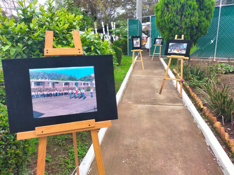 Imagen de WhatsApp 2025-07-01 a las 07.26.40_943a8c60