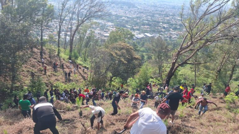 Imagen de WhatsApp 2025-07-05 a las 10.46.20_8641be6d