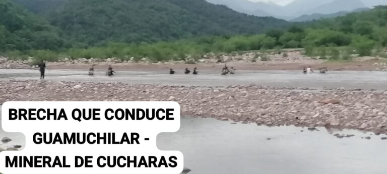 Imagen de WhatsApp 2025-07-09 a las 19.58.31_4fa72046