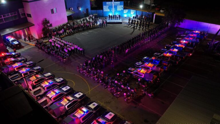 Imagen de WhatsApp 2025-07-25 a las 11.53.35_b8f020c8