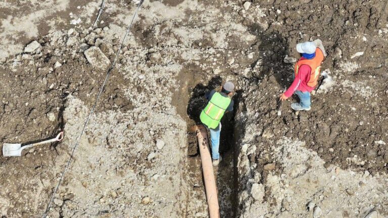 Imagen de WhatsApp 2025-07-26 a las 20.24.52_0a1d2f3d