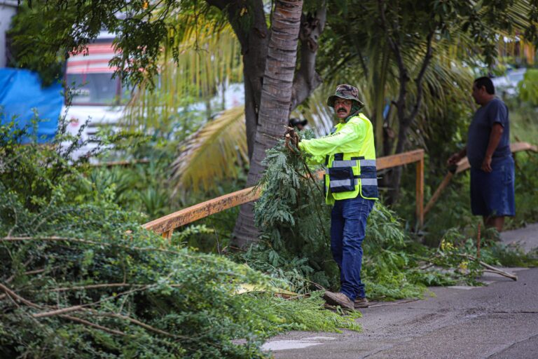 Imagen de WhatsApp 2025-08-07 a las 13.13.38_1bc59b0c