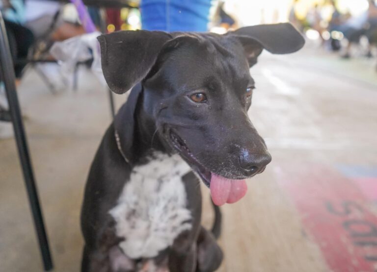 Imagen de WhatsApp 2025-08-31 a las 02.09.10_45e29072