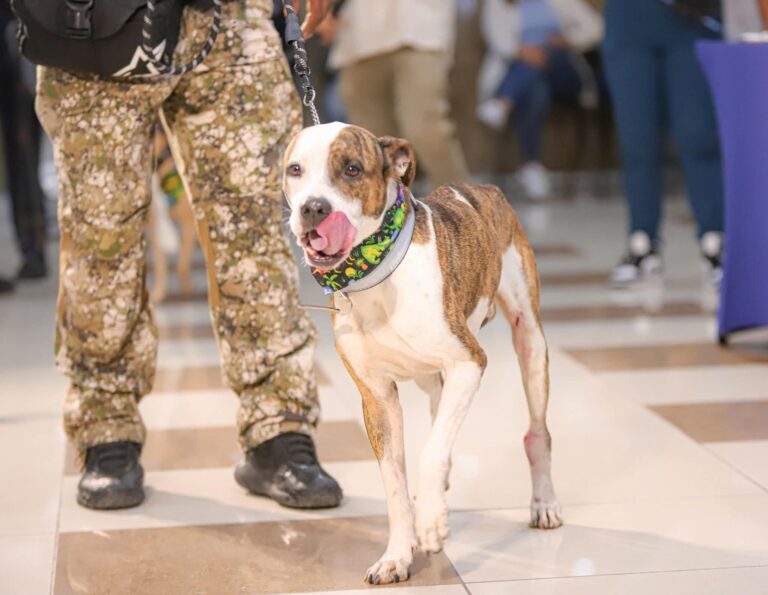 Imagen de WhatsApp 2025-09-04 a las 15.33.30_75cb5d4f