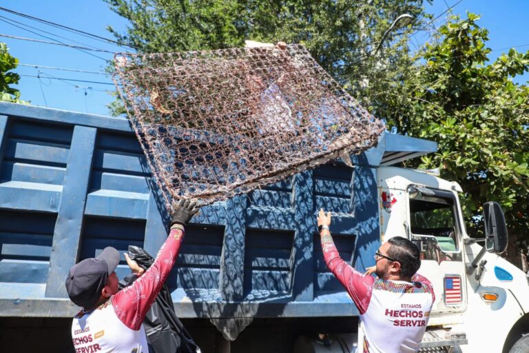 Imagen de WhatsApp 2025-09-05 a las 14.29.21_adcded53