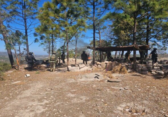 WhatsApp Image 2026-04-07 at 5.36.09 PM (2)