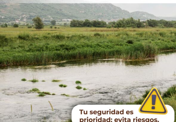 WhatsApp Image 2026-04-07 at 6.50.25 PM